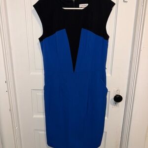 Calvin Klein Black and Blue Mini Dress